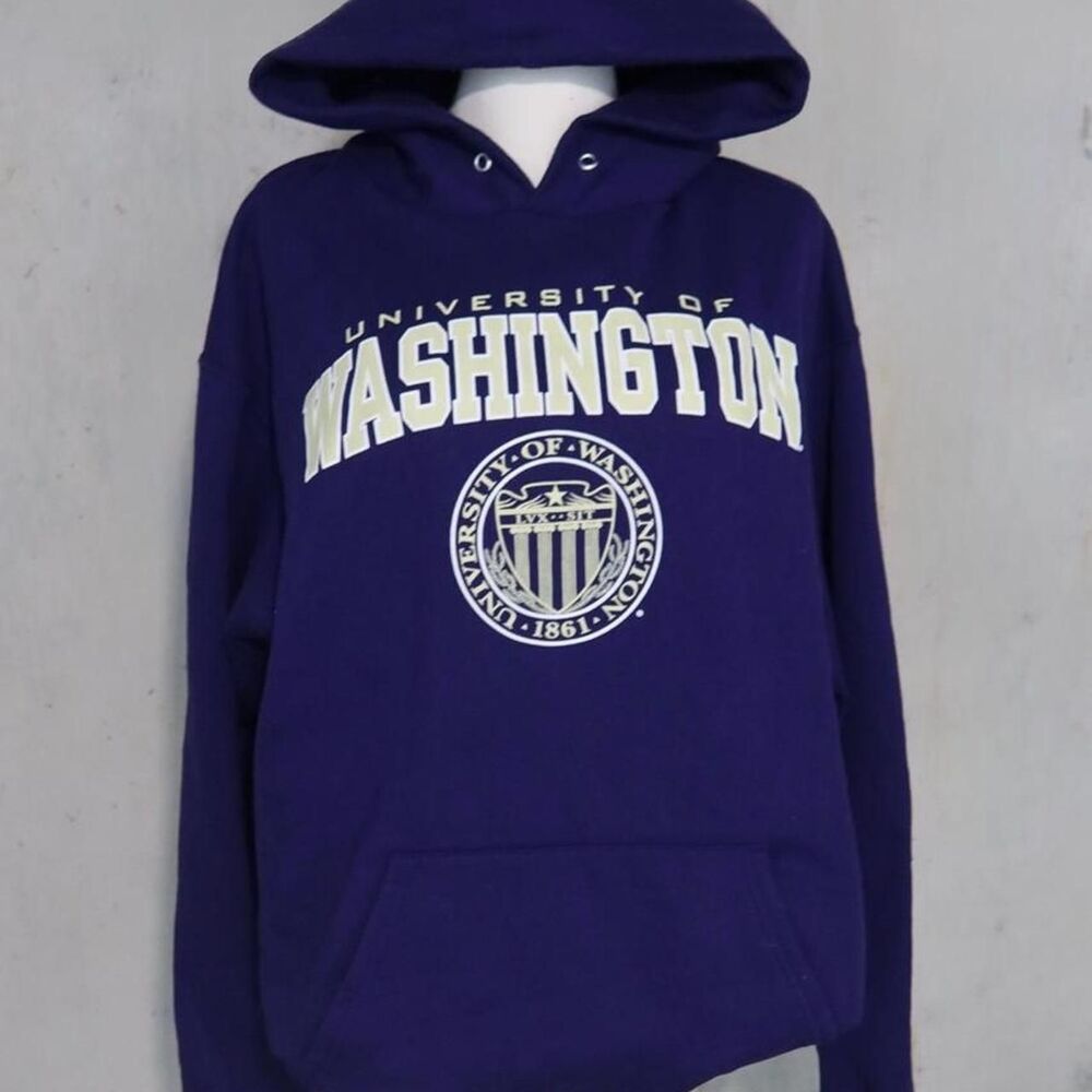 Champion Women's Purple and Blue Hoodie